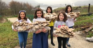 Snapseed-1-scaled-e1622050374340-2048x1075